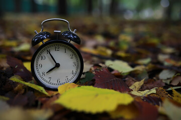 alarm clock on autumn leaves on natural background