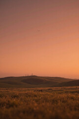 sunset in the desert