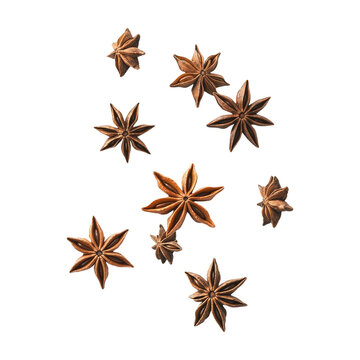 Star Anise Pods on Transparent Background