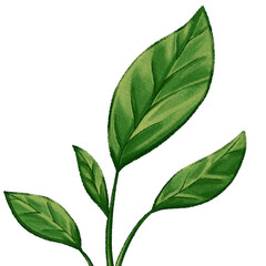 Hand Painted Poppy Leaves