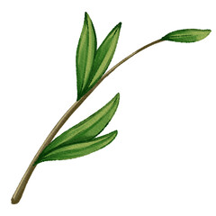 Hand Painted Poppy Leaves