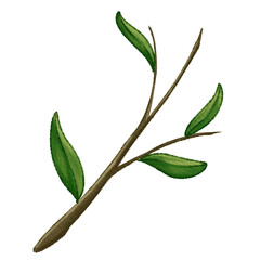 Hand Painted Poppy Leaves