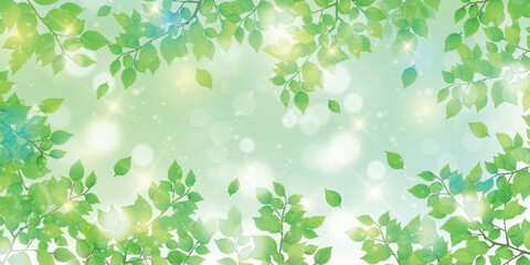 Fototapeta premium 新緑 葉 風景 背景