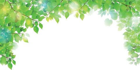 新緑　葉　風景　背景