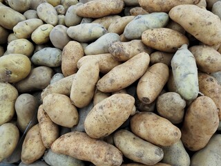 Raw Potatoes in tray at fresh market