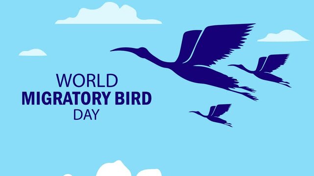 world migratory bird day banner template.