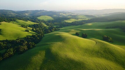 Obraz premium A breathtaking aerial view of rolling green hills, bathed in the warm golden light of dawn or dusk, showcasing the beauty and serenity of the natural landscape.