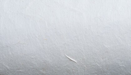 和紙のテクスチャ、背景素材（白）