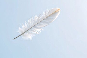 Obraz premium delicate white feather against a clear blue sky background