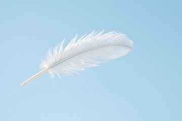 Obraz premium delicate white feather against a clear blue sky background