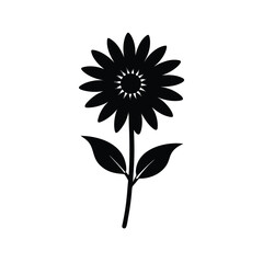 African daisy silhouette on white background