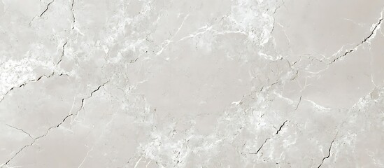 Light Gray Marble Surface Texture