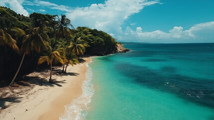  A Serene Tropical Beach Scene with White Sand, Turquoise Water, Lush Green Vegetation, and Palm Trees, Under a Blue Sky with Fluffy Clouds.