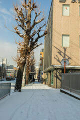 A snowy street.