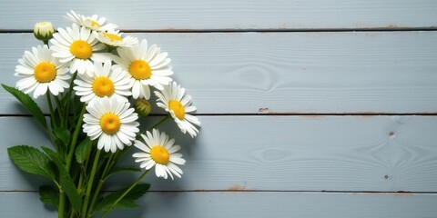 Fototapeta premium A delightful bouquet of daisies rests on a rustic light-blue wooden surface, creating a charming and peaceful springtime scene.