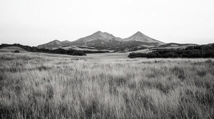 Monochrome Mountain Meadow Landscape