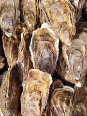 dried fish on a market