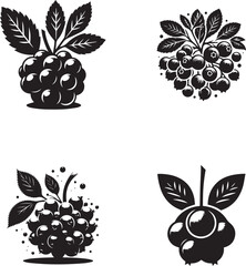 Chokeberry Silhouette Collection - Vector Illustrations