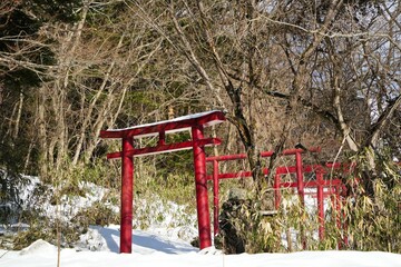 雪に包まれた赤い鳥居