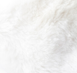 The image is a close up of a white fur texture