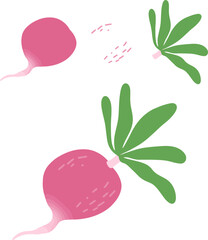 Beetroot have pictures that are completely connected. and which are separated into pieces