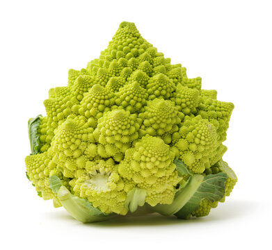 Romanesco broccoli cabbage (or Roman Cauliflower) isolated on white background