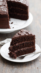 piece of chocolate cake