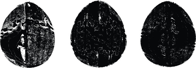 Easter egg texture collection.Distressed Oval Post Stamp . Geometrical decorated Easter egg. Sprayed, noised, speckled, textured, transparent oval collection. Vector Illustration . Egg texture set.