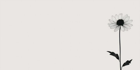 A minimalist daisy illustration on a plain white background