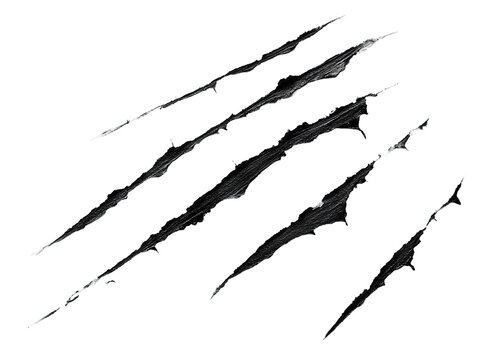 Claw scratch marks with torn edges, isolated on transparent cutout background