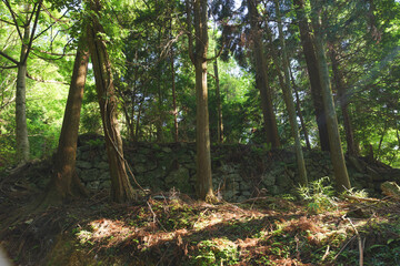 Japan, in the forest, ruins of a castle