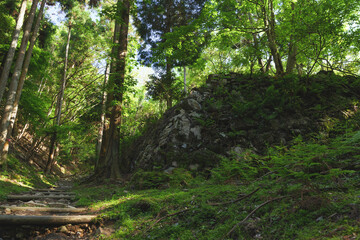 Japan, in the forest, ruins of a castle