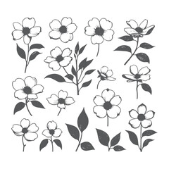High-quality hand drawn dogwood flowers with intricate details, perfect for artistic and creative projects, retro-style prints, and unique digital assets