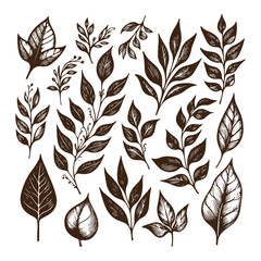 High-quality vintage leaf illustration with intricate details, perfect for artistic and creative projects, retro-style prints, and unique digital assets
