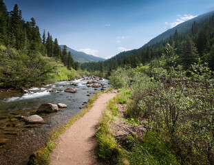 Generated image　川沿いのハイキングコース