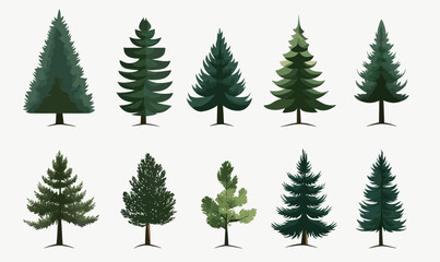 Obraz premium Minimalistic Pine Trees Vector Set Illustration for Nature Design Elements