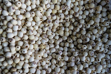 A top-down shot of Lotus seeds at a local thai market in Bangkok