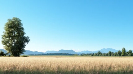 Obraz premium Sunny field, lone tree, mountain backdrop