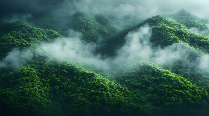 Obraz premium Misty Green Mountain Range Landscape