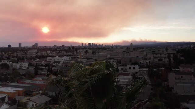 Aerial close-up panning shot of a palm tree with the Palisades Fire burning on the horizon at sunset in Hollywood, California. 4K