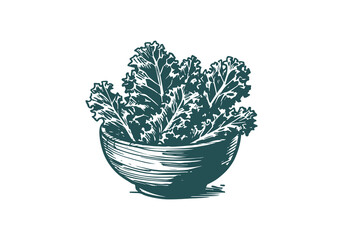 Kale Hand Drawn Illustration Sketch Vector Isolated
