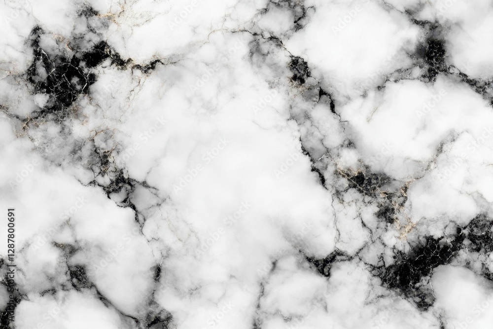 Poster elegant white marble texture with intricate black veins creating a sophisticated abstract pattern fo