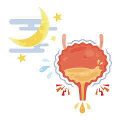 夜間頻尿を起こす膀胱のイラスト