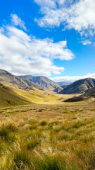 Magnificent View of Lindiss Pass, New Zealand  2023 Feb.23