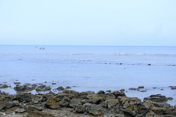 Rocky Beach Shoreline with Calm Blue Ocean and Clear Sky