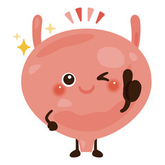 グッドサインを出す膀胱のキャラクターイラスト