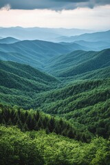 Naklejka premium Serene vista of rolling green mountains and lush forest under a cloudy sky evoking peace and tranquility in nature