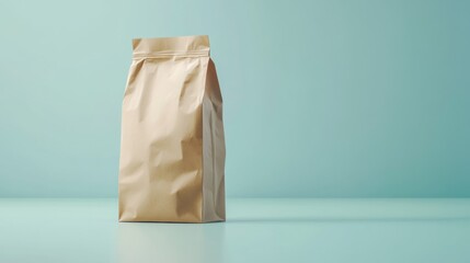 Brown Paper Bag on Light Blue Background