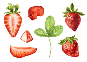 Set of piece red strawberry and green twig. Ripe berry for snacks, culinary dishes, milkshakes, cocktails, ice cream, jam. A natural dessert from a farmer's harvest. Isolated digital illustration