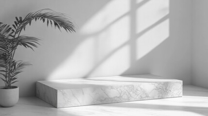 White Marble Podium with Palm Plant in Sunlit Room
